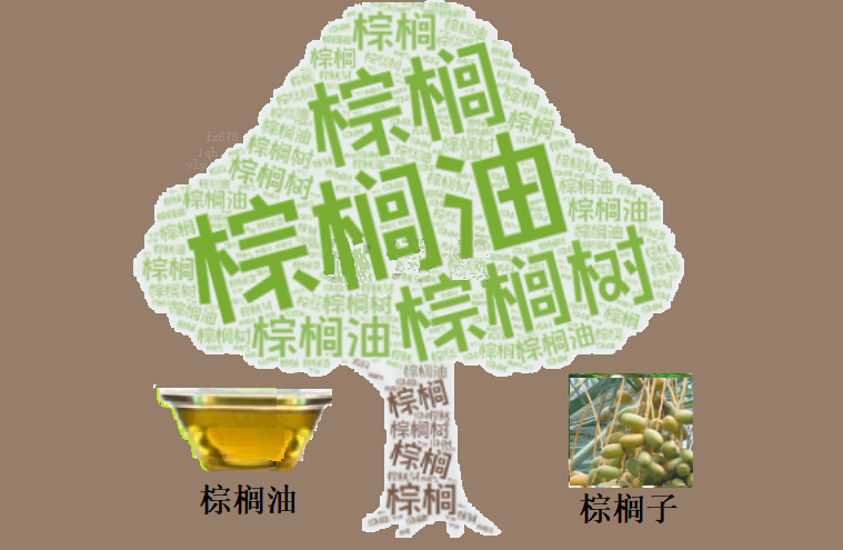 【GMI官网】棕榈油“俯冲式”下跌!抄底机会还是深渊陷阱?